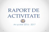 RAPORT DE ACTIVITATE - cnunirea.ro · Raport de activitate –2016 - 2017 2. RESURSE UMANE –ELEVI 716 elevi din care : 597 la liceu -7 IX A-27 ştiinţesoc., bil.