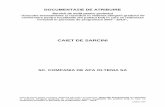 CAIET DE SARCINI - Apa Oltenia · verificarea de către auditorul financiar a cheltuielilor si documentelor justificative privind decontarile aferente implementării proiectului prin