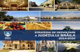 Cuprins - cjbraila.ro · Domenii de analiză: Scurtă prezentare a judeţului Demografie Infrastructura si echiparea tehnico edilitara Dezvoltare economică Mediul de afaceri