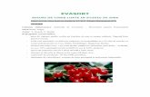SOIURI DE CIRES LUATE IN STUDIU IN 2006 - uaiasi.ro · - pentru producţie comercială de fructe, în toate zonele favorabile culturii cireşului. Beneficiarii poten ţ iali: - unităţi
