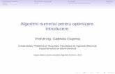 Algoritmi numerici pentru optimizare. Introducere.an.lmn.pub.ro/slides2016/12_optimizare_introducere.pdf · Algoritmi numerici pentru optimizare. Introducere. Prof.dr.ing. Gabriela