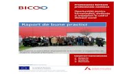 Oportunități pentru dialogul social - bico-project.eu · cooperare și relațiile schimbatoare concurentiale din cadrul sectorului - atât la nivel național și internațional