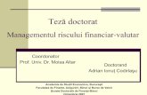 Managementul riscului financiar-valutar - dofin.ase.ro · PDF fileMangementul riscului financiar-valutar 1. Măsurarea riscului de credit 2. Managementul riscului de credit conform