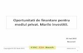 Oportunitati de finantare pentru mediul privat. Marile ... RamonaIvan26mai.pdf · 3 Constituirea de Birouri de consiliere clienti (1) Consiliere gratuităa IMM-urilor în accesarea
