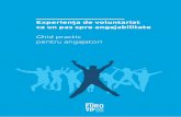 Experiența de voluntariat ca un pas spre angajabilitate ...federatiavolum.ro/wp-content/uploads/2018/04/Experienta-de-voluntariat-spre... · pagina 4 pagina 1 Uniunea Europeană