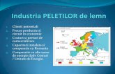 circuit in economie comercializare comparatie cu Romania ...expertfirme.ro/.../uploads/2013/05/Industria-PELETILOR-de-lemn.pdf · 3) Structura costurilor estimate din studiile UE.