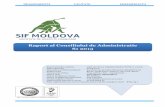 Raport al Consiliului de Administratie 30.06 - SIF Moldova. Raport CA S1 2013 .pdf · RAPORT AL CONSILIULUI DE ADMINISTRATIE – S1 2013 6 Analiza activitatii 1.1 Descrierea activitatii