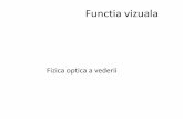 Fizica optica a vederii - Fiziologiefiziologie.ro/didactic/2015-2016/cursuri/s1c6 analizatorul vizual 2015.pdf · Notiuni de fizica optica ∞ f distanta focala f = distanta de la