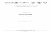 România Raport de referinţă - businesspoints.ro · anorganice (ex. substanţe chimice organice: soluţii de curăţire şi dezinfectare, pe baza de fenol, percloretilenă; uleiuri