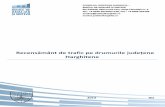 Recensământ de trafic pe drumurile județene Harghiteneanaliza.judetulharghita.ro/.../uploads/2015/01/Recensamant_Trafic_HR.pdf · - 2 - 2013 RO I. Introducere Compania Națională