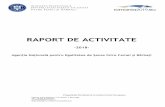 RAPORT DE ACTIVITATE - anes.gov.roanes.gov.ro/wp-content/uploads/2017/09/Raport-activitate-ANES-anul... · - Proiect de Lege pentru modificarea și completarea Legii nr. 211/2004