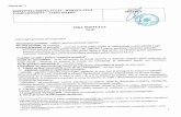 cj.prefectura.mai.gov.ro · Transmiterea raportului de audit spre avizare la conducatorul structurii auditate Urmarirea masurilor luate sde conducerea structurii auditate, in urma