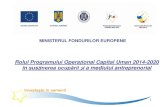 MINISTERUL FONDURILOR EUROPENE - Confindustria Roconfindustria.ro/pdf/10.07/7Marius Harhoiu_ Oportunitati de finantare... · Tipuri de acțiuni finanțate Creșterea participării