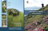 Erika Stanciu, Florentina Florescu - natura2000.ro · Forest Areas In Romania and Bulgaria and building capacity in Ukraine (9E0710.02-04 Information, education, training). Toate