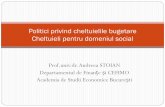 Politici privind cheltuielile bugetare Cheltuieli pentru ... · Cheltuieli pentru asistență socială Cuprind acţiunile întreprinse de societate pentru ocrotirea şi susţinerea