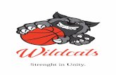 Strenght in Unity. - wildcatsbm.ro · beneficiile care companiile le doresc in schimbul sponsorizarii. Suntem constienti ca performantele evenimentelor noastre , cat si audienta la