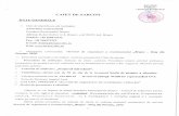 KM 364e-20161117115313 - brasovcity.ro SARCINI.pdfCapitolul IV — CAIET DE SARCINI (descrierea detaliatä a serviciului ce urmeazä a fi achizitionat) Primäria Municipiului Brapv