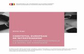COMITETUL EUROPEAN DE ÎNTREPRINDERE ACORDURILE ... european de intreprindere.pdf · structurii interne a companiei, nu pot privi strict operaţiunile dintr-o singură ţară, având
