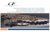 Programul de activitate al Consiliului Camerei Auditorilor ... de activitate al Consiliului CAFR-4967.pdf · comunicare, auditul sistemelor IT, legislaţie fiscală şi comercială