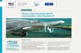 Stop supraexploatării sturionilor din Dunăre!awsassets.panda.org/downloads/sturgeons_project_factsheet_ro.pdf · supraexploatarea sturionilor din Dunăre în România și Bulgaria”
