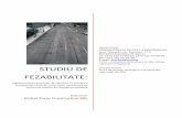 STUDIU DE FEZABILITATE - old.mtid.gov.md · STUDIU DE FEZABILITATE: Implementarea punctelor de cântărire în mișcare a transportului auto de mare tonaj, care circulă pe drumurile