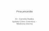 Pneumoniile - baicus.com fileEpidemiologie •Pneumonii comunitare – incidenta anuala – 10 cazuri/1000locuitori - varste extreme 60 ani •Pneumonia a 6-a cauza de