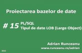 # 15 PL/SQL Tipul de date LOB (Large Object) Adrian Runceanu · coloane noi in tabela emp pentru a stoca pentru un angajat: fotografia de pe insigna un raport anual de evaluare a