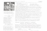 ACDSee PDF Image. - memoria-ethnologica.ro · Sânjorzul, 23 aprilie, este ziua de Sf. Gheorghe, in care adolescentii copiii au ocazia de a se stropi cu apä proaspät scoasä din