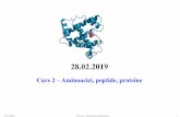 BIOINFORMATICĂ APLICATĂ ÎN BIOLOGIA STRUCTURALĂmarius.mihasan/teaching/pdfs/bioinformatics_for... · 28.02.2019 Curs 2–Aminoacizi, peptide, proteine 3/01/2018 Curs II -Structura