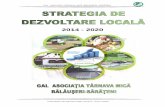 2014 - 2020 · STRATEGIA DE DEZVOLTARE LOCALĂ 2014-2020 INTRODUCERE Strategia de dezvoltare din teritoriul Târnava Mică-Bălăușeri-Sărățeni are în vedere atât criteriile