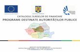 CSF Autoritati publice iunie 2009 - fonduri-structurale.ro · Uniunea Europeana si Guvernul Romaniei Dezvoltarea durabila a structurilor de sprijinire a afacerilor de importanta regionala