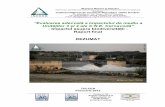 ”Evaluarea adecvată a impactului de mediu a Unităților 3 ... · Contract nr. 421 / 2010 –rezumat (februarie 2012) Pag. 1 A. INTRODUCERE Acest document reprezinta Rezumatul