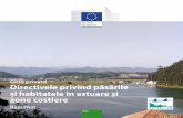 Ghid privind Directivele privind păsările și habitatele în ... file3 (râuri, lacuri, ape de tranziție și costiere) și a apelor subterane la nivel comunitar • Directiva-cadru