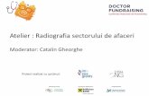Atelier : Radiografia sectorului de afaceri - arcromania.ro · parte din strategia de dezv a firmei 34.6% Implicarea in astfel de actiuni ajuta la imbunatatirea prestigiului si imaginii