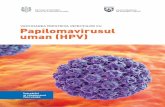 VACCINAREA ÎMPOTRIVA INFECŢIILOR CU Papilomavirusul uman …ansp.md/wp-content/uploads/2017/12/intrebari-si-rapunsuri.pdf · le, negi genitali, condiloame genitale sau vegetaţii