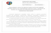 ROMANIA – MUNICIPIUL BAIA MARE RAEU... · MUNICIPIUL BAIA MARE Prezentul regulament stabileşte cadrul unitar în vederea autorizării lucrărilor de construire, reconstruire, reparare,