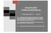 RAPORT TRIMESTRIAL - Compacompa.ro/wp-content/uploads/2013/03/Raport-trim.I-2012.pdf · C. Cheltuielile in avans de la sfarsitul trim.I-2012, in suma de 640,305 lei au crescut fata