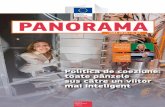 PANORAMA 65 – Politica de coeziune: toate pânzele sus ... · bune practici pentru cei care pun în aplicare politica de coe-ziune a UE și gestionează instrumentele sale financiare,