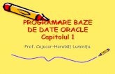 PROGRAMARE BAZE DE DATE ORACLE Capitolul 1liceulteoreticdecebal-ct.ro/files/Programare-Baze-de-date--Oracle1.pdf · PROGRAMARE BAZE DE DATE ORACLE Capitolul 1 Prof. Cojocar-Horobăț