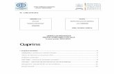 Cuprins - ccdfocsani.ro 2013.pdf · Tehnici de informare şi comunicare (TIC) ... realizarea de prezentări informatice şi formative utilizând software de prezentare formarea deprinderilor