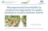 Managementul investițiilor la producerea legumelor în ... · cultivare aplicate total Nr. Rentabi-litatea econo-PLF 1 2 3 inclusiv. Culturile legumicole produse în spații protejate