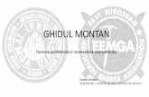 Prezentare EEMGA la FTM Busteni 16-01-2017 Cosmin Andron · - alpinism vara/iarna de altitudine mica, medie si mare - deplasarein teren glaciar - expeditii la joasa, medie si mare