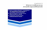 Capitolul V Dezvoltarea metropolitană - primariapitesti.ro fileDezvoltarea metropolitană 1. Zona metropolitană – modalitate de dezvoltare polivalentă a societăŃii contemporane