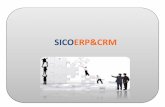 SICOERP&CRM - tarem.ro · memorate de cătresistem. Încazul încare se lucreazăcu mai multe firme se pot alege versiuni diferite pentru fiecare machetă,funcţionalitate,înfuncţiede