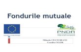 Fondurile mutuale - madr.ro · Articolul 39 –Fonduri mutuale pentru evenimente climatice nefavorabile, bolile animalelor și ale plantelor, infestări parazitare și pentru incidentele