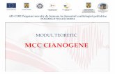 MCC cianogene - ad-cor.road-cor.ro/wp-content/uploads/2015/12/7-MCC-Cianogene_medici.pdf · Manifestari clinice •Suflul se aude de la nastere: este dat de stenoza pulmonara (DSV