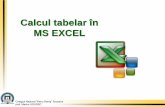 Calcul tabelar în MS EXCEL - ududec.com · Un program de calcul tabelar (spreadsheet) reprezintă o aplicaţie care permite introducerea, editarea, formatarea şi tipărirea informaţiei