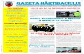 Gazeta Hartibaciului ianuarie 2009 - primaria-agnita.ro · traseu va avea piste pentru biciclete. Cu ocazia semnãrii contractului, firmele executante au promis cã lucrarea se va