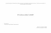 Protocolul UDP - stst.elia.pub.rostst.elia.pub.ro/news/RC/Teme_RC_IVA_2012_13/2_BizonCristian_SimionBo... · 5 Figura 3- Andrew S.Tanenbaum – Retele De Calculatoare 4th Edition