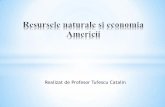 Realizat de Profesor Tufescu Catalineuinvat.bluepink.ro/.../2011/08/resursele_naturale_si_economia_america.pdf · stat cu ajutorul textului din manual O 4 – sa numeasca principalele